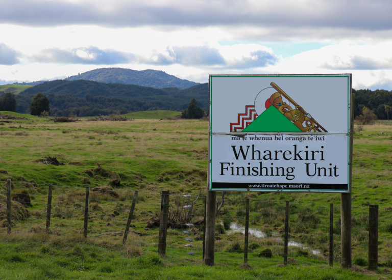 Wharekiri edited sign